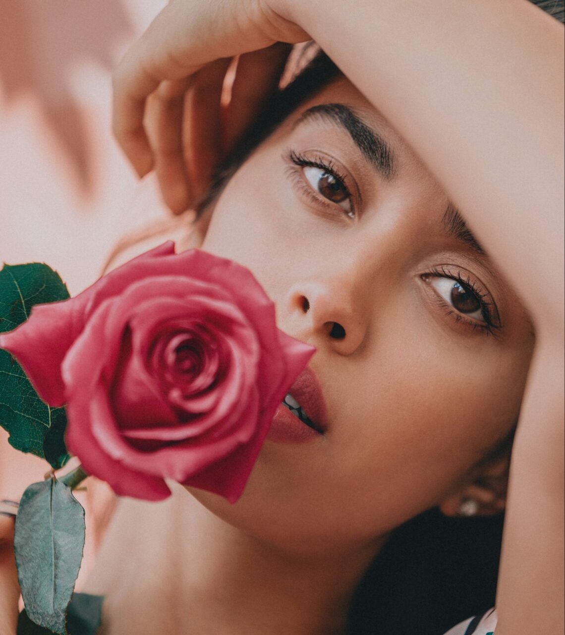 Rose Privée, rosa di maggio