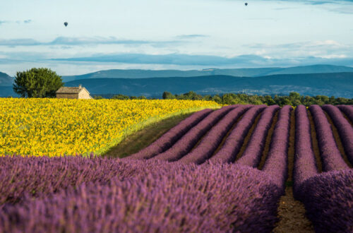 Compagnie de Provence