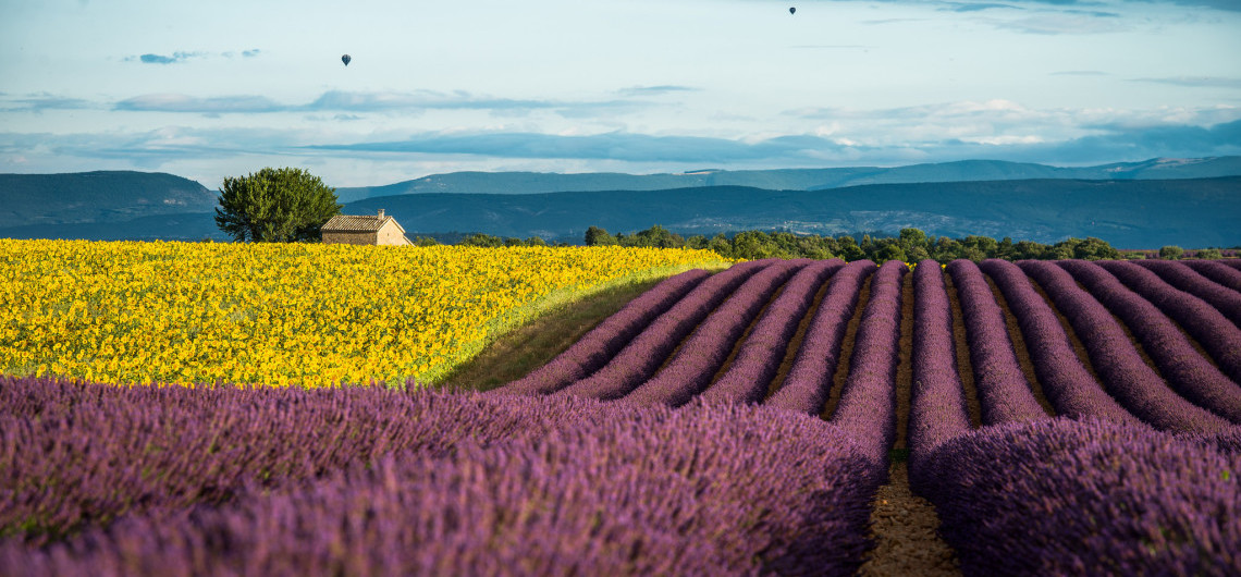 Compagnie de Provence