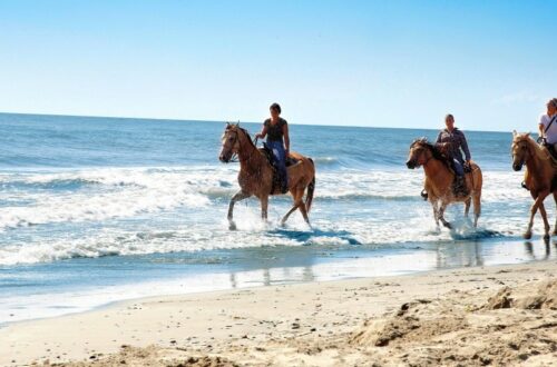 Vacanza a cavallo