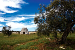 Cantine San Marzano