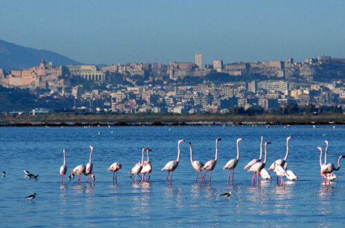 Sardegna