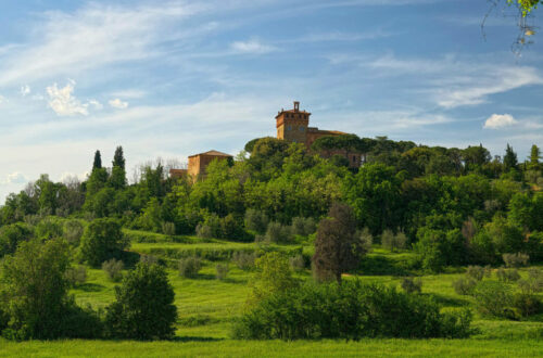 Bottega Verde -Palazzo_Massaini_