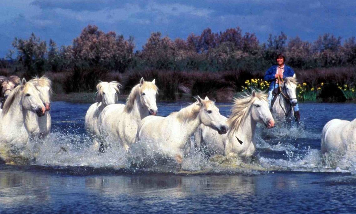 houseboat-Francia-Camargue