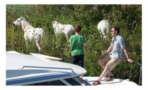 houseboat-Francia-Camargue