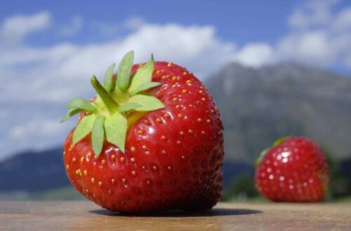 Val Martello-festa - fragole