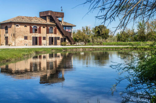 Microcosmo laguna- Valgrande -Bibione