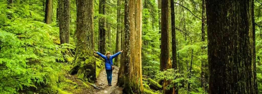 Forest-bathing