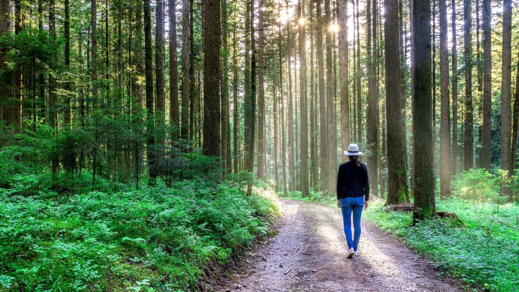 Forest-bathing