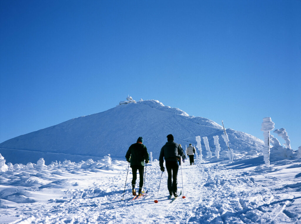 neve-volagratis-Polonia