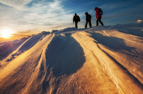 neve-volagratis