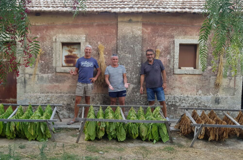 N&B: un impegno costante per salvaguardare il Salento e il Pianeta