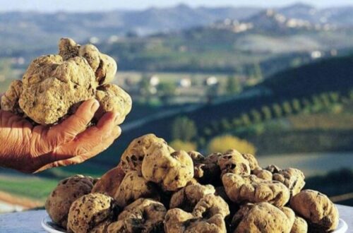 Milano celebra l'autunno con la Fiera Nazionale del Tartufo