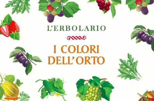 I Colori dell’Orto