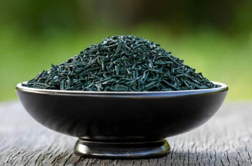 Nella splendida Dolceacqua: arte, enologia e… Spirulina G superfood