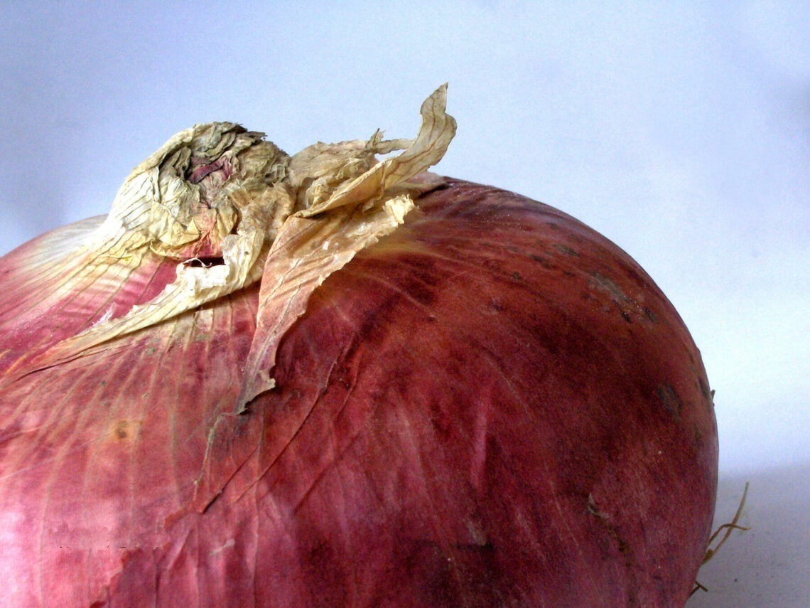 La cipolla rossa di Breme: un presidio Slow Food