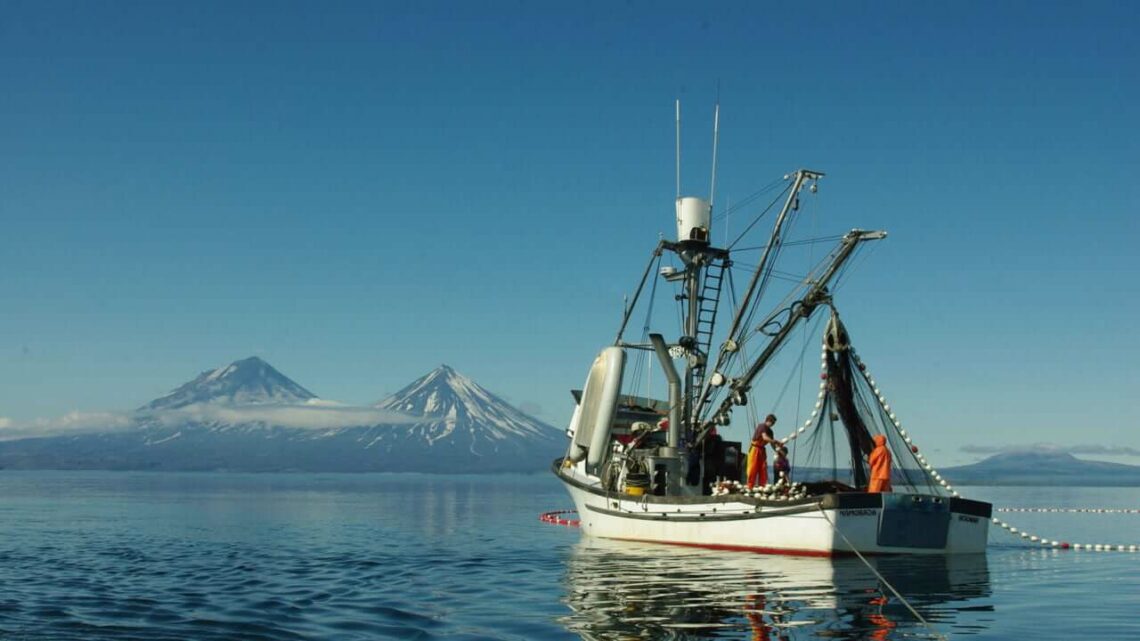 salmone-selvaggio-dellalaska-pesca-sostenibile-in-acque-pulite