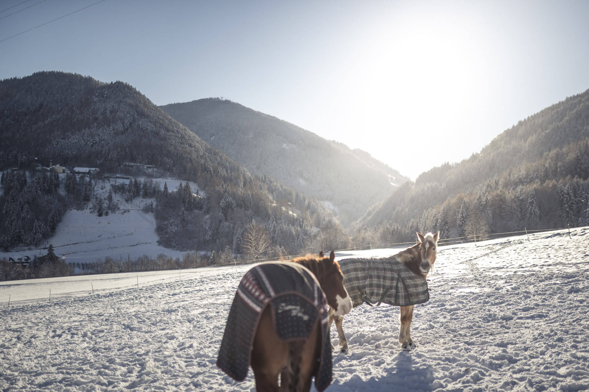 san-valentino-nella-stanza-di-neve-o-a-cavallo7-idee-per-festeggiarlo