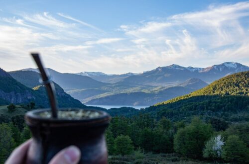 mate-i-segreti-delloro-verde-argentino-rito-ed-energia