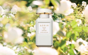 rose-de-grasse-joyful-bloom-collezione-premier-rose-di-aerin