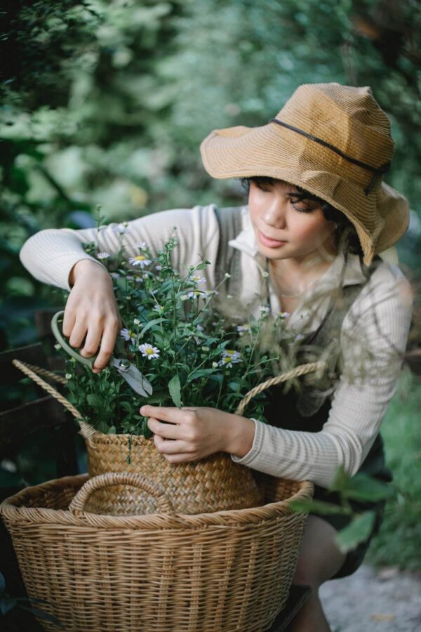 fiori-recisi-come-farli-durare-piu-a-lungo