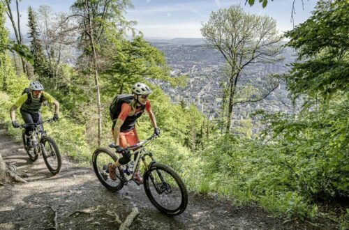 zurigo-pedala-itinerari-attivi-per-lestate-2024