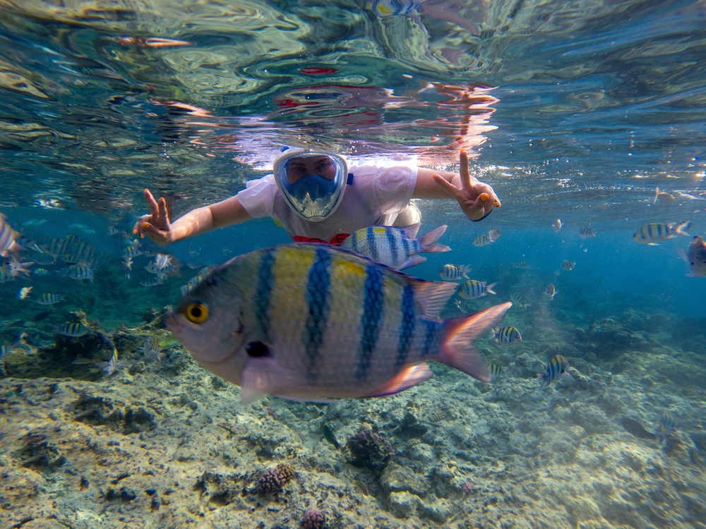 immersioni-in-sardegna-i-punti-piu-belli-viaggiando-in-camper