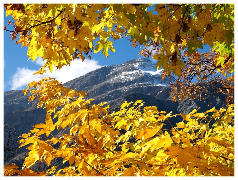 il-monte-rosa-e-i-percorsi-nella-stagione-delle-foglie-dorate