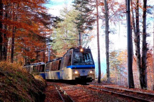 treno-del-foliage-un-viaggo-lento-tra-borghi-e-natura