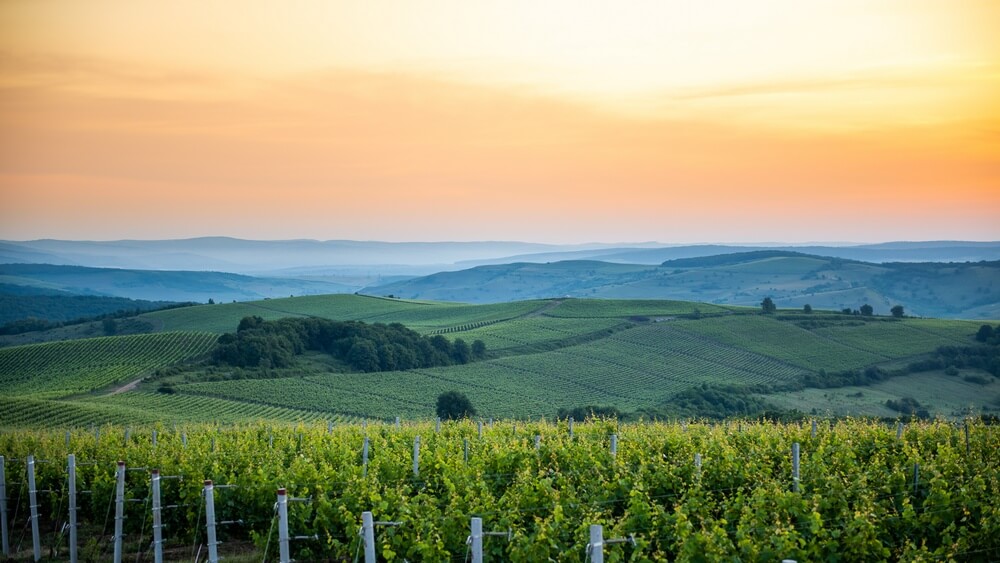 marinela-ardelean-invita-alla-scoperta-dei-sapori-della-romania