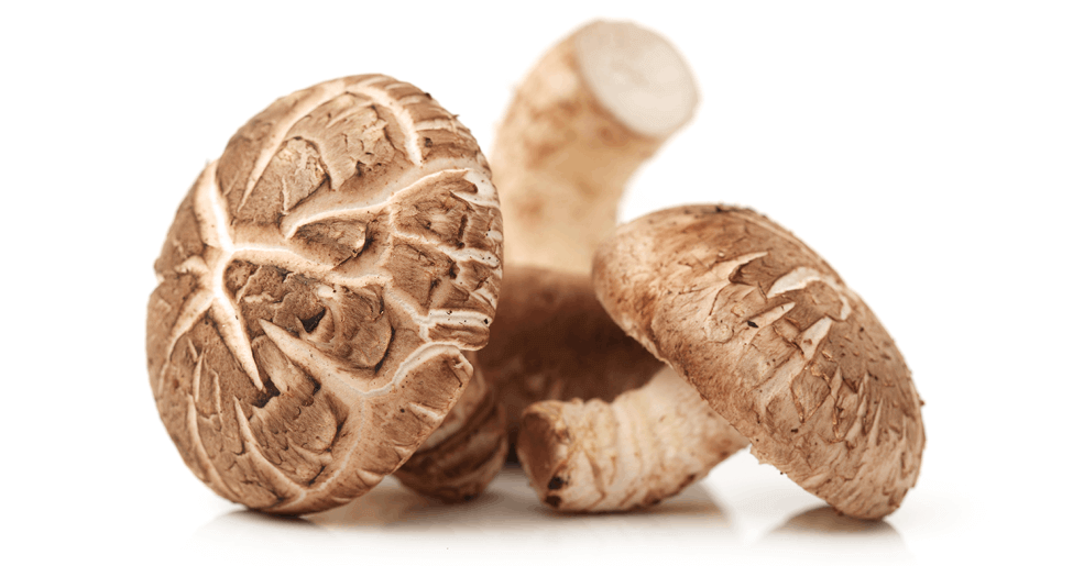 sistema-immunitario-ringana-propone-i-potenti-funghi-vitali